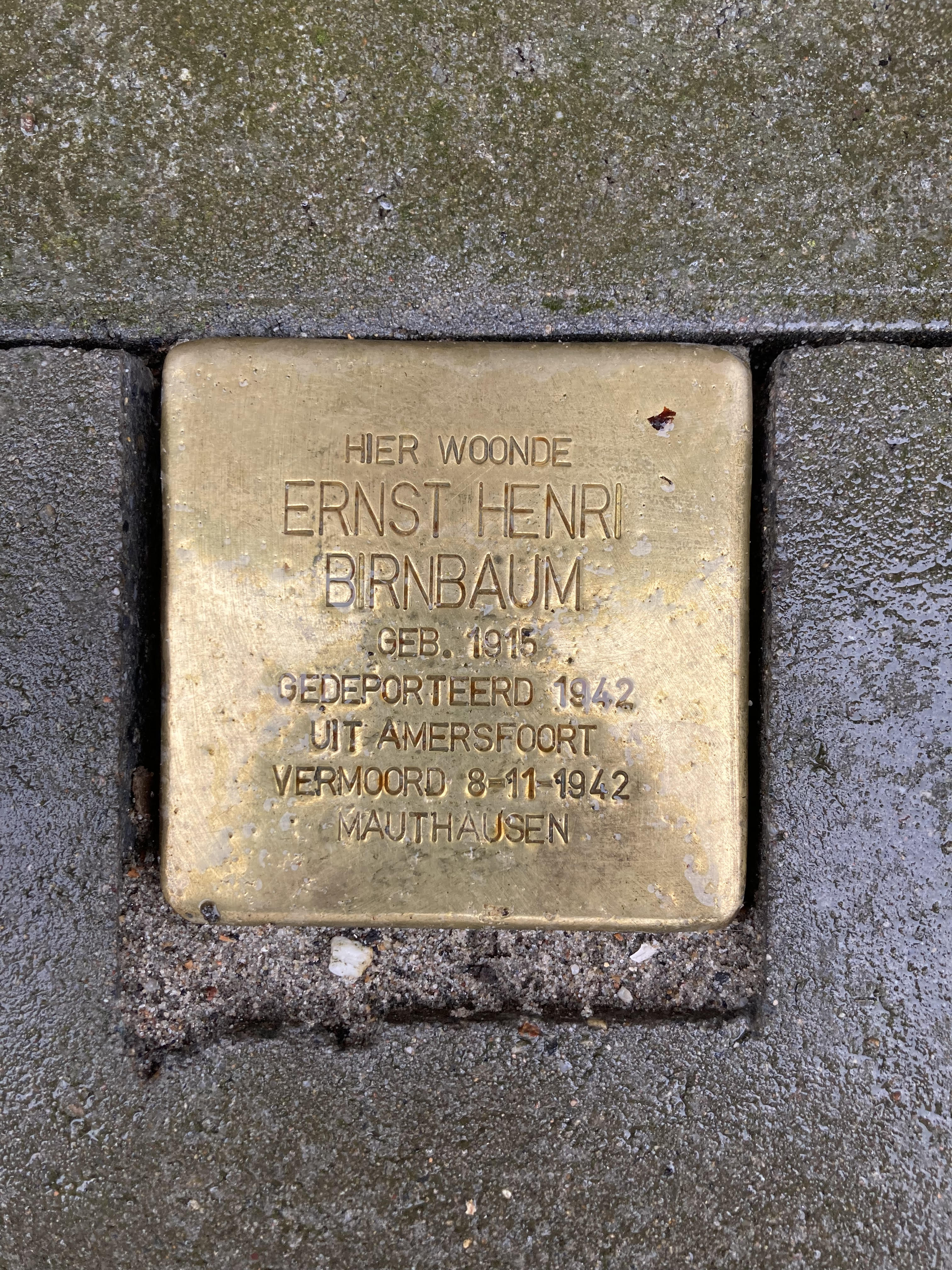 Struikelsteen met de tekst: Hier woonde Ernst Henri Birnbaum, geboren 1915, gedeporteerd 1942 uit Amersfoort, vermoord 8-11-1942, Mauthausen.eerd